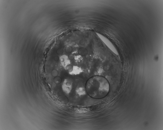 X0000116120359200912141051