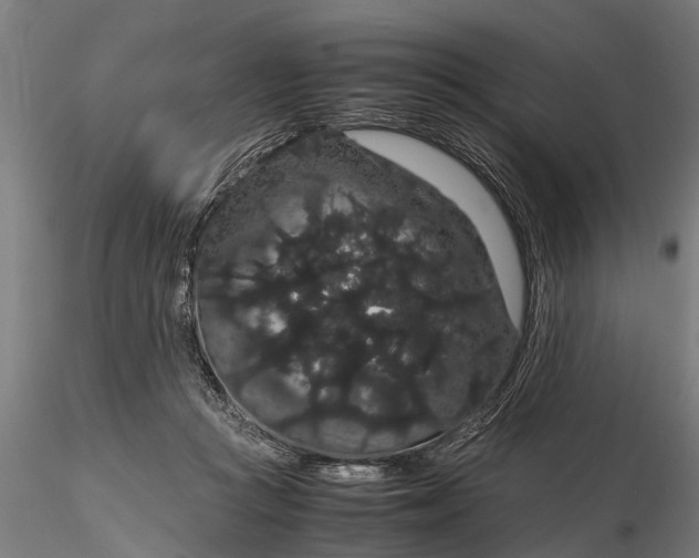 X0000116120361200912141051