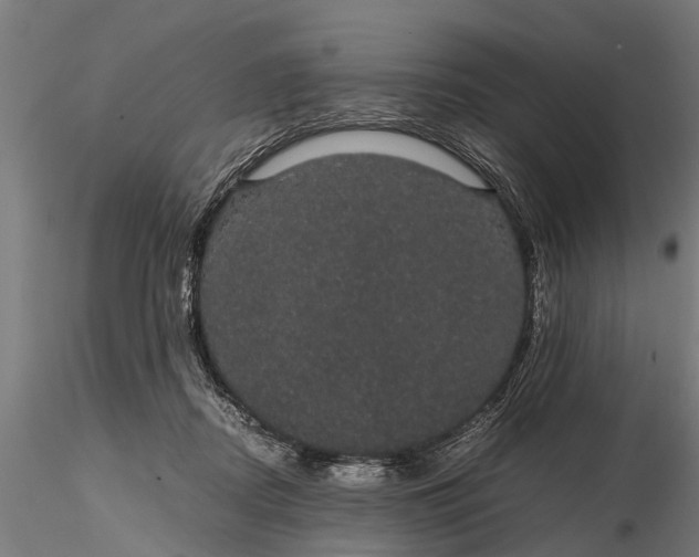 X0000116120362200912141051