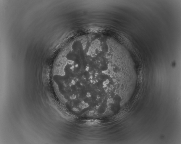 X0000116120363200912141051