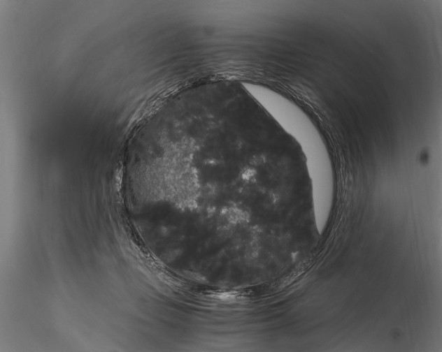 X0000116120365200912141051