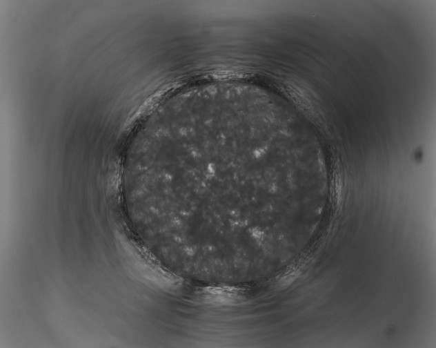 X0000116120367200912141051