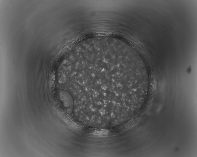 X0000116120369200912141051