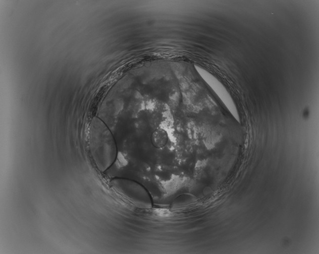 X0000116120371200912141051