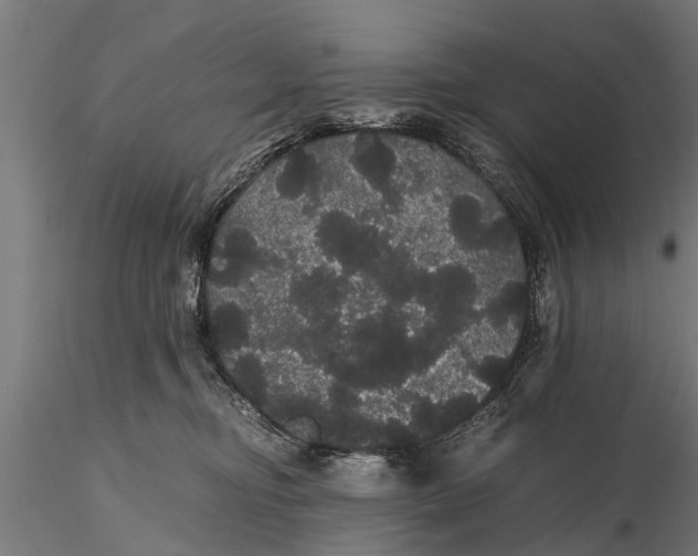 X0000116120374200912141051