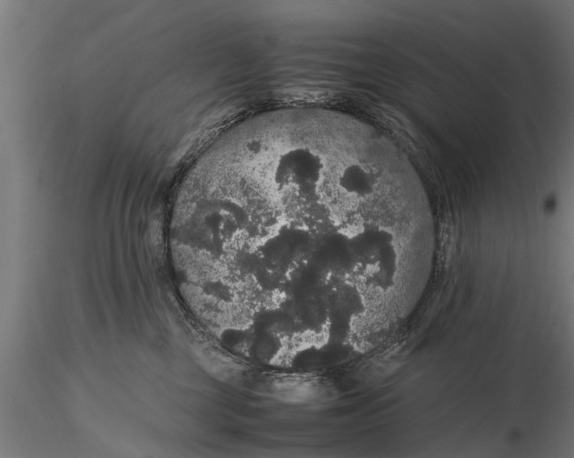 X0000116120377200912141051