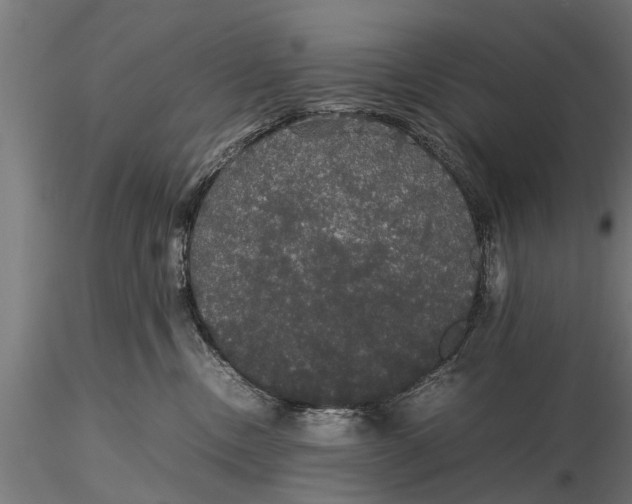 X0000116120378200912141051