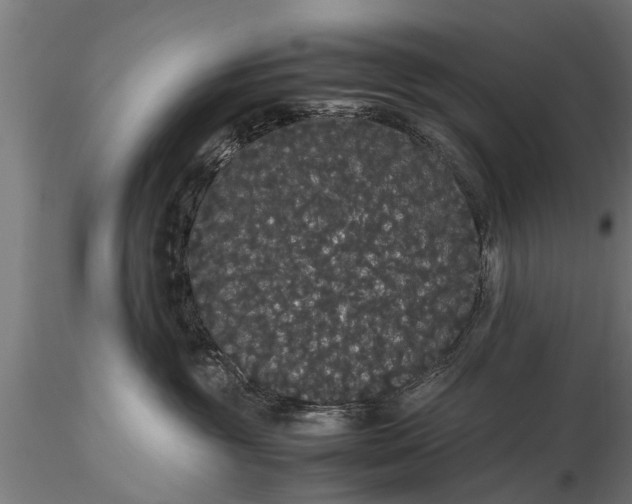 X0000116120381200912141051