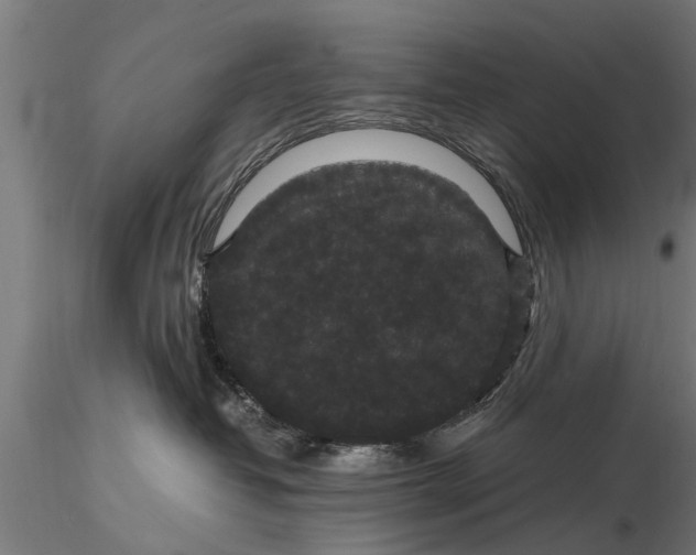 X0000116120382200912141051