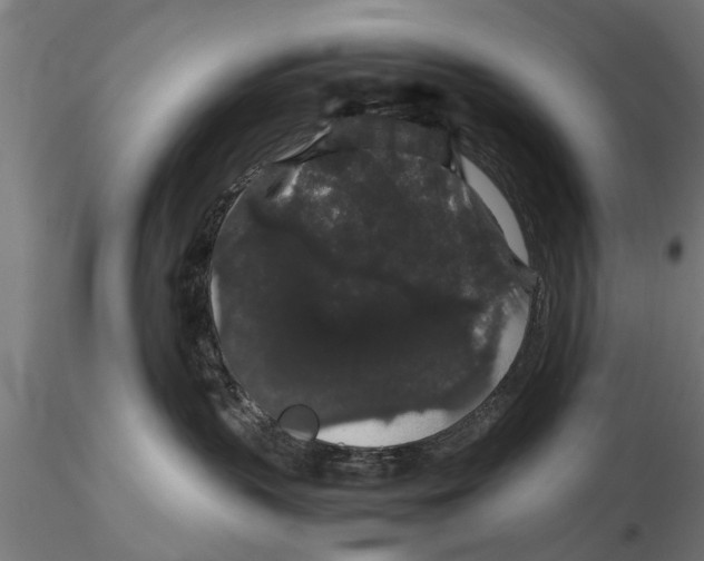 X0000116120383200912141051