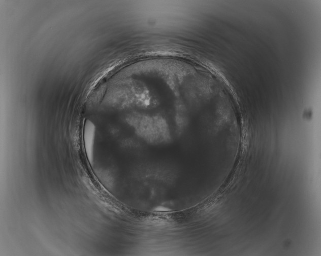 X0000116120386200912141050