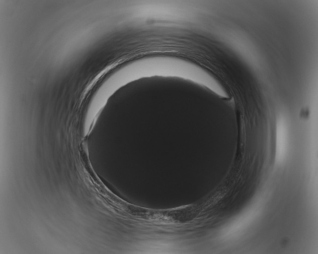 X0000116120387200912141050