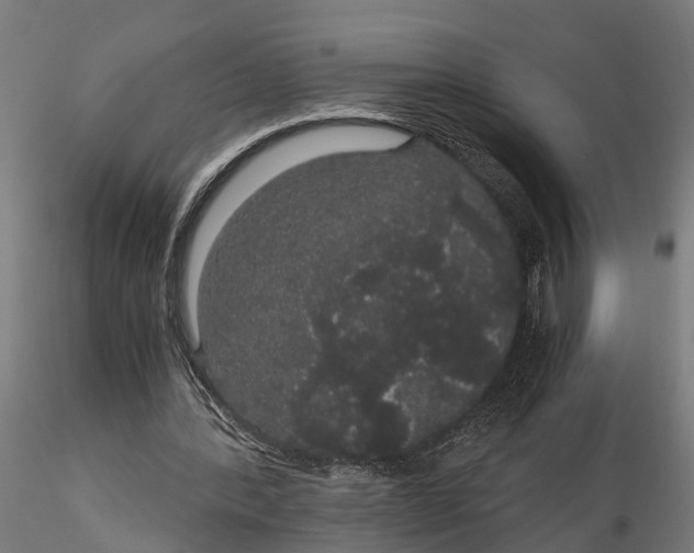 X0000116120388200912141050