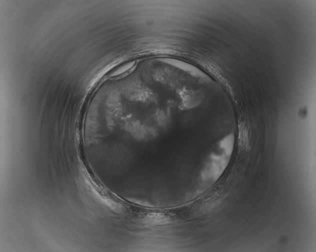 X0000116120390200912141050