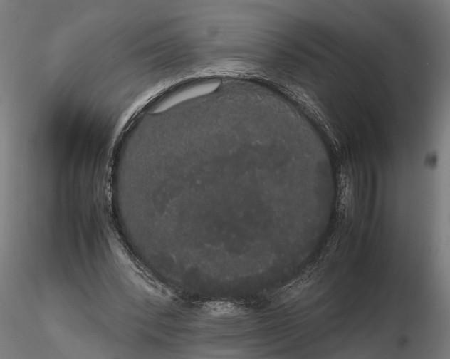 X0000116120392200912141050