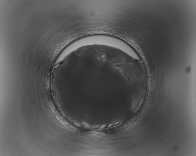 X0000116120393200912141050