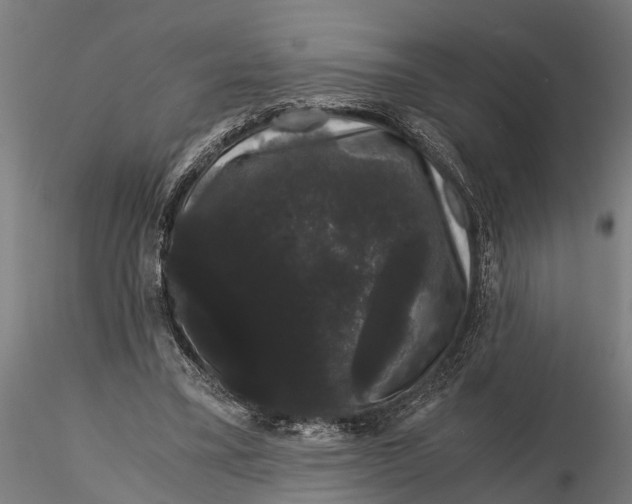 X0000116120395200912141050