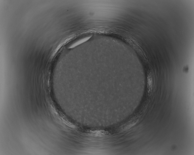 X0000116120396200912141050