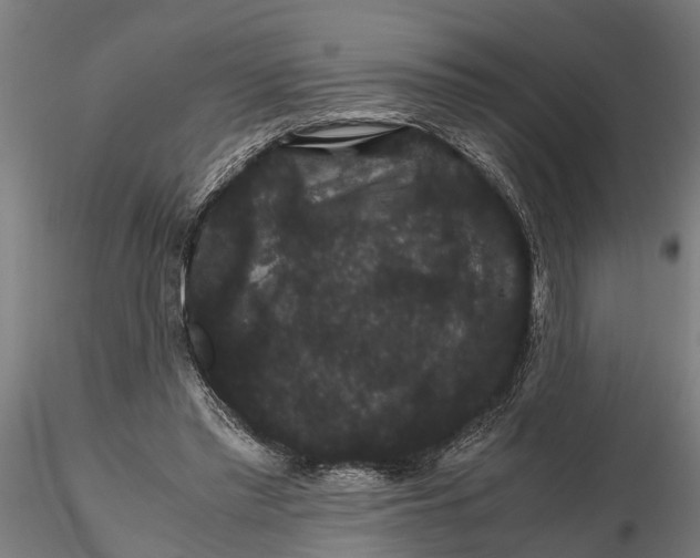 X0000116120397200912141050