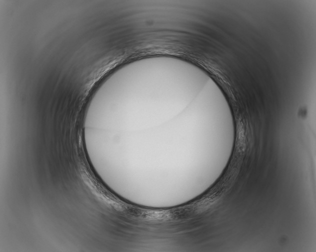 X0000116120398200912141050