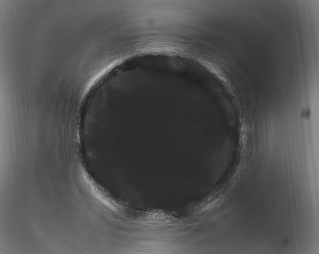 X0000116120399200912141050