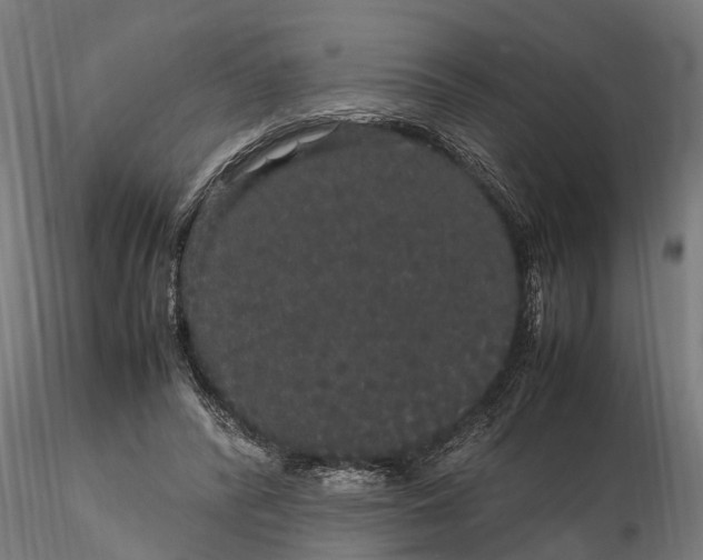 X0000116120400200912141050