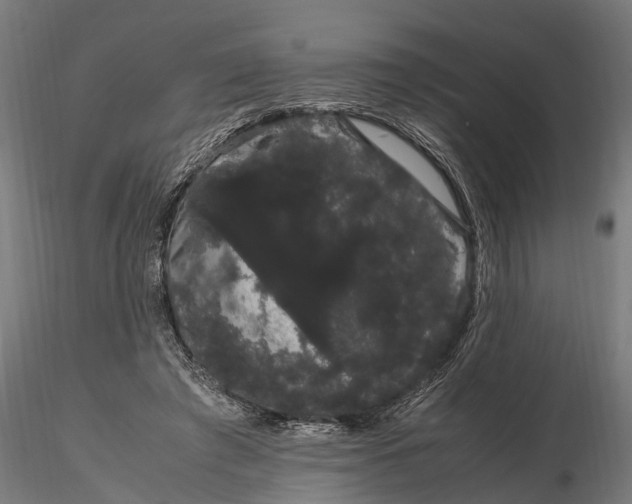 X0000116120401200912141050