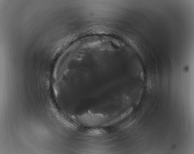 X0000116120402200912141050