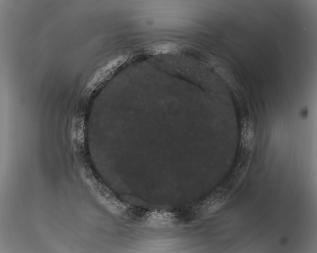 X0000116120403200912141050