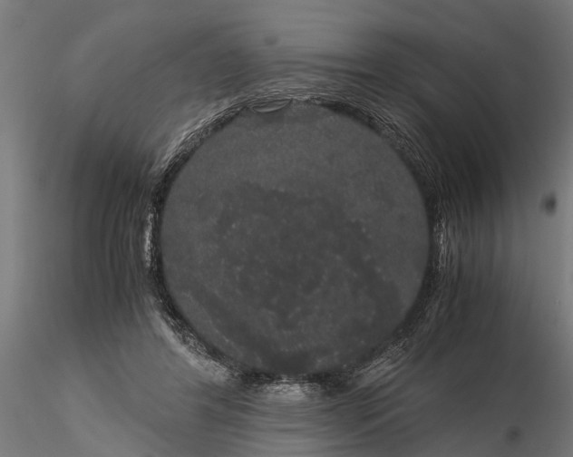 X0000116120404200912141050