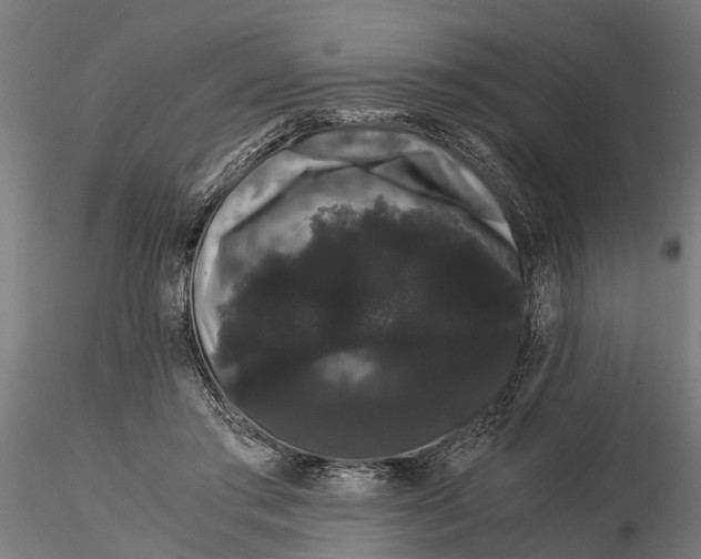 X0000116120405200912141050