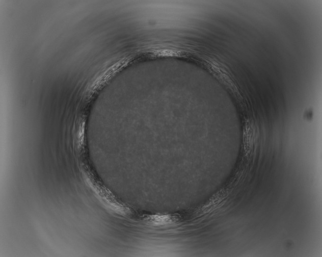 X0000116120406200912141050