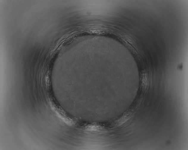 X0000116120408200912141050