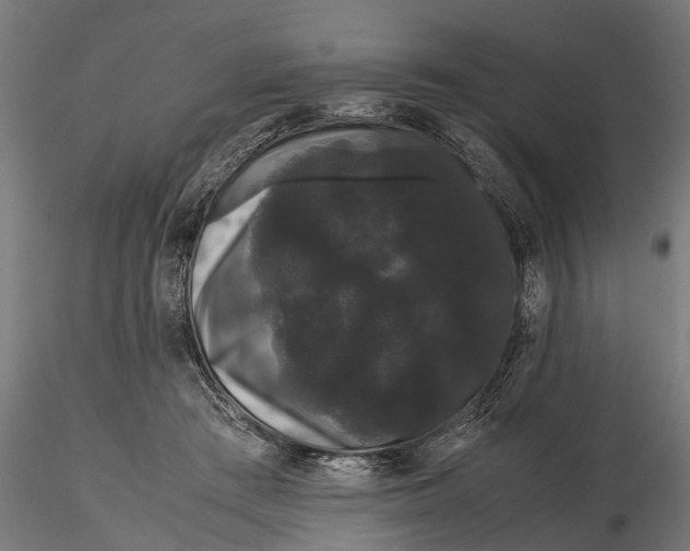 X0000116120409200912141050