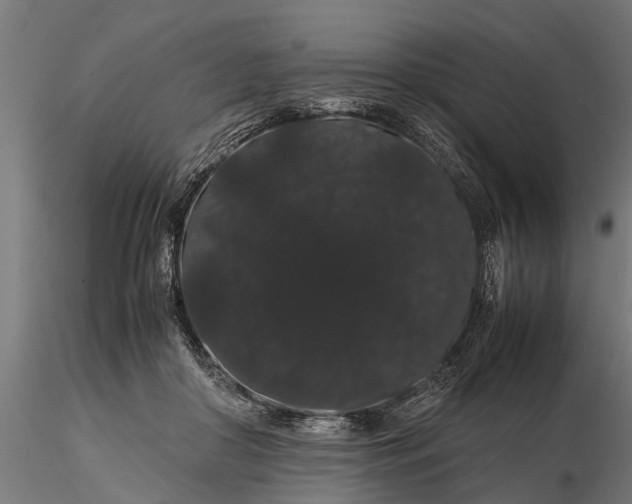 X0000116120410200912141050