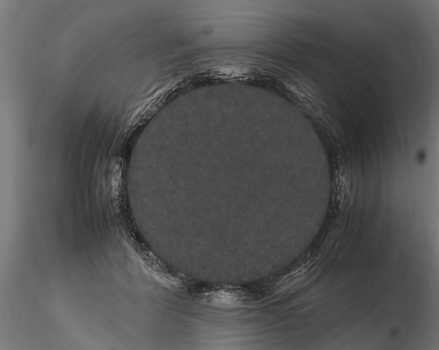 X0000116120412200912141050