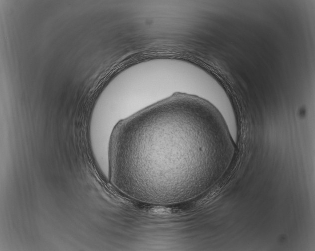 X0000116120413200912141050