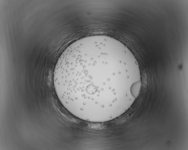 X0000116120414200912141050