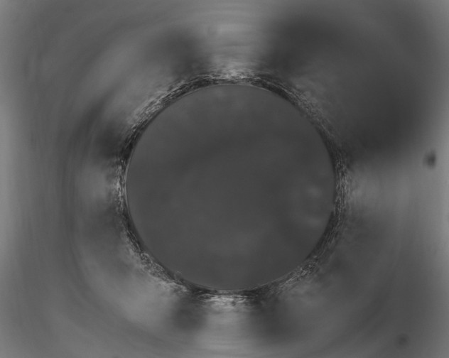 X0000116120415200912141050