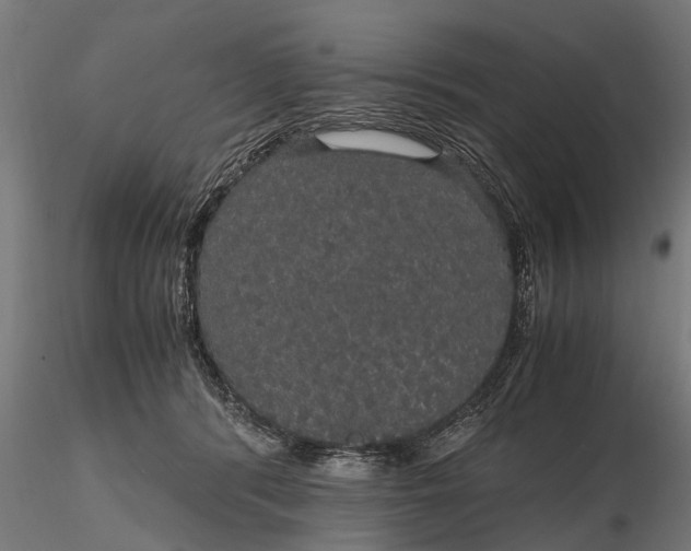 X0000116120416200912141050