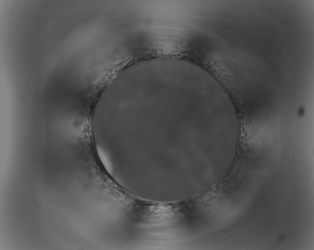 X0000116120419200912141050