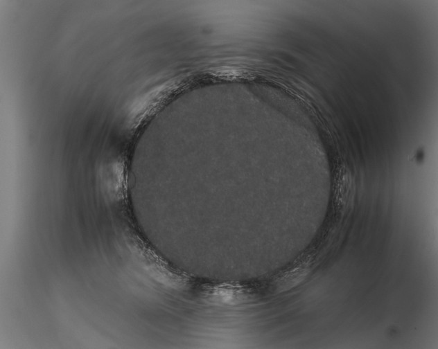 X0000116120420200912141050