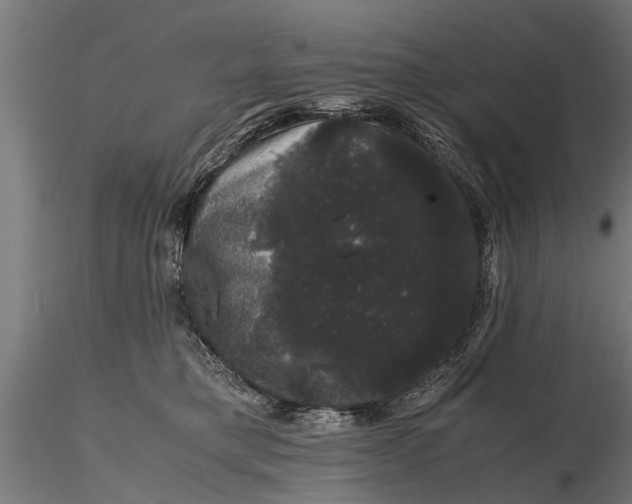 X0000116120421200912141050