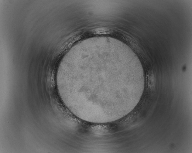 X0000116120422200912141050