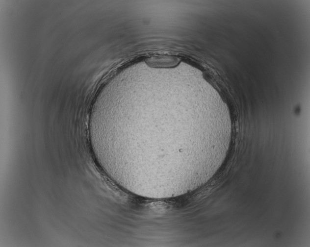 X0000116120423200912141050