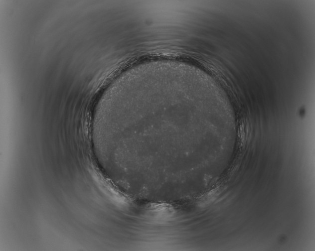 X0000116120424200912141050