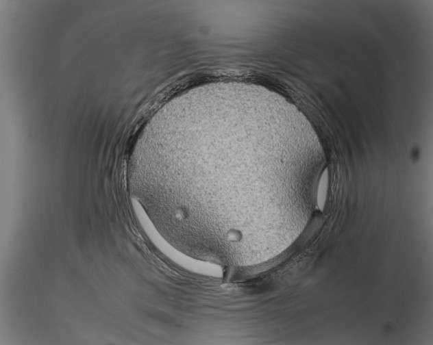 X0000116120425200912141050