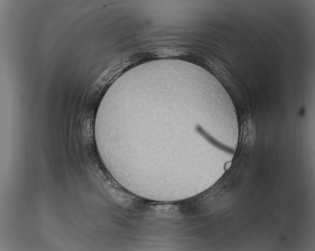 X0000116120426200912141050