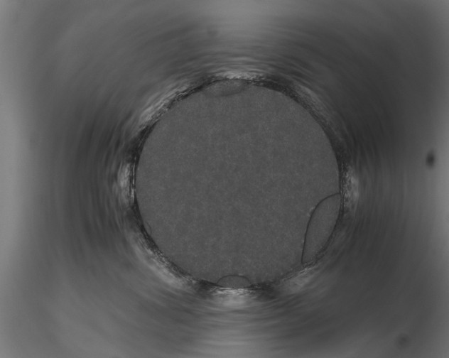 X0000116120428200912141050