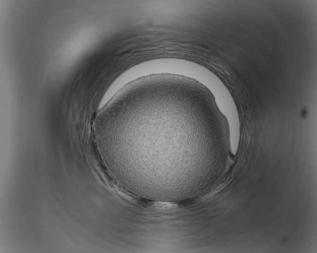 X0000116120429200912141050